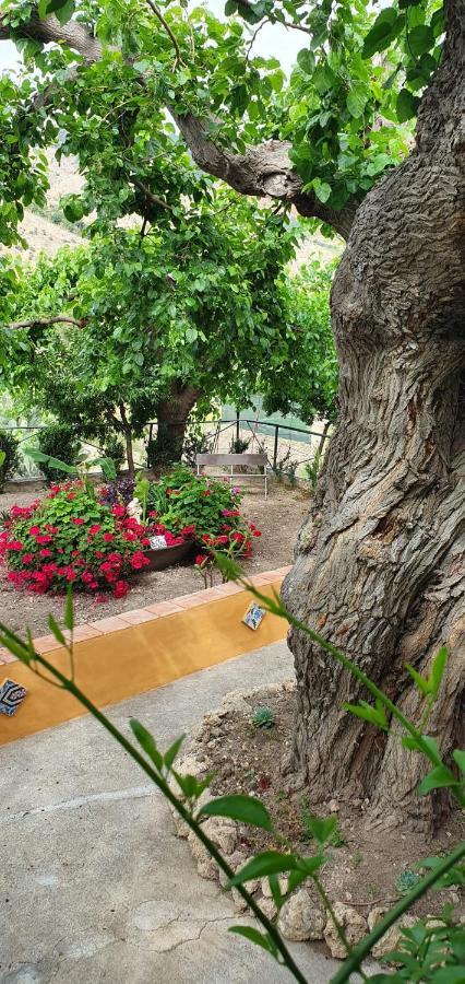 Casa Vacanze Fondaco Di Scillato Scillato  Eksteriør bilde